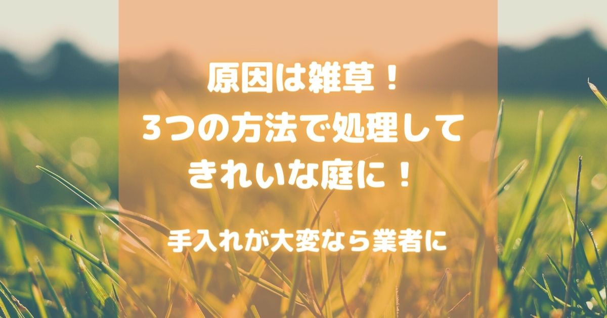 【荒れた庭の手入れ】雑草の処理・剪定や虫対策の方法を紹介！きれいな庭への整備は業者依頼がオススメ！