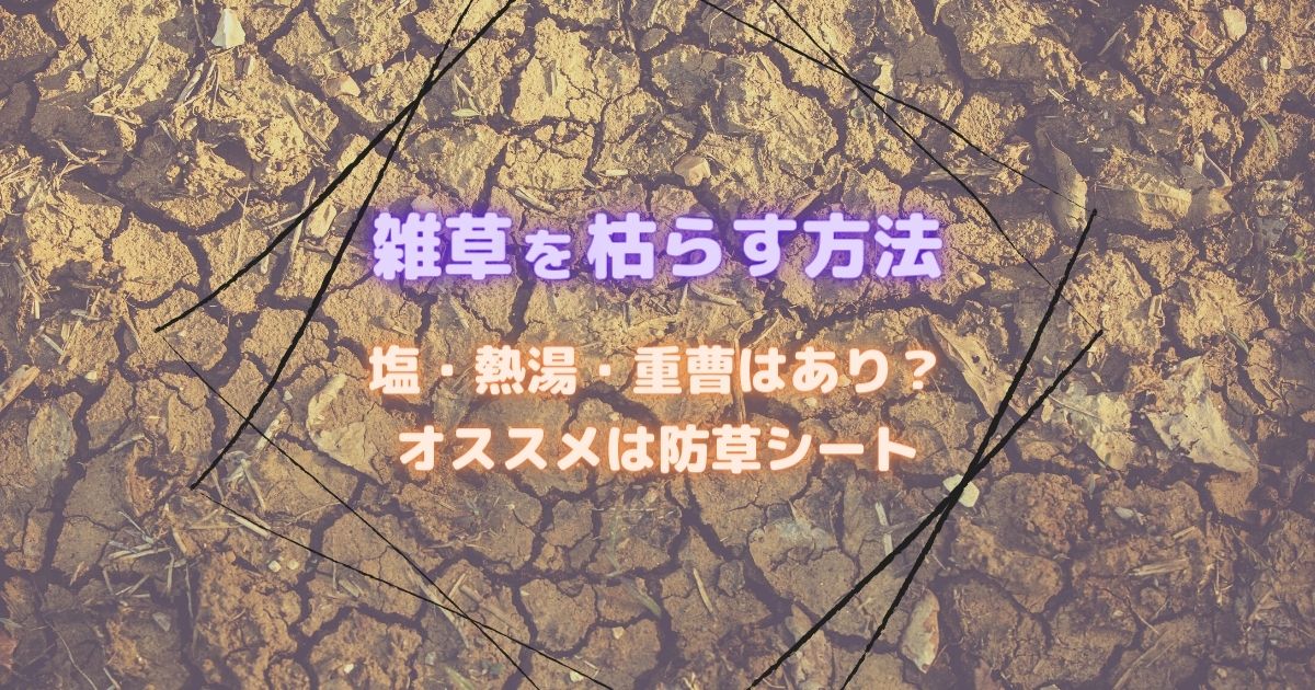 安全かつ手間をかけずに雑草を枯らす方法！代表的な枯らし方の効果比較